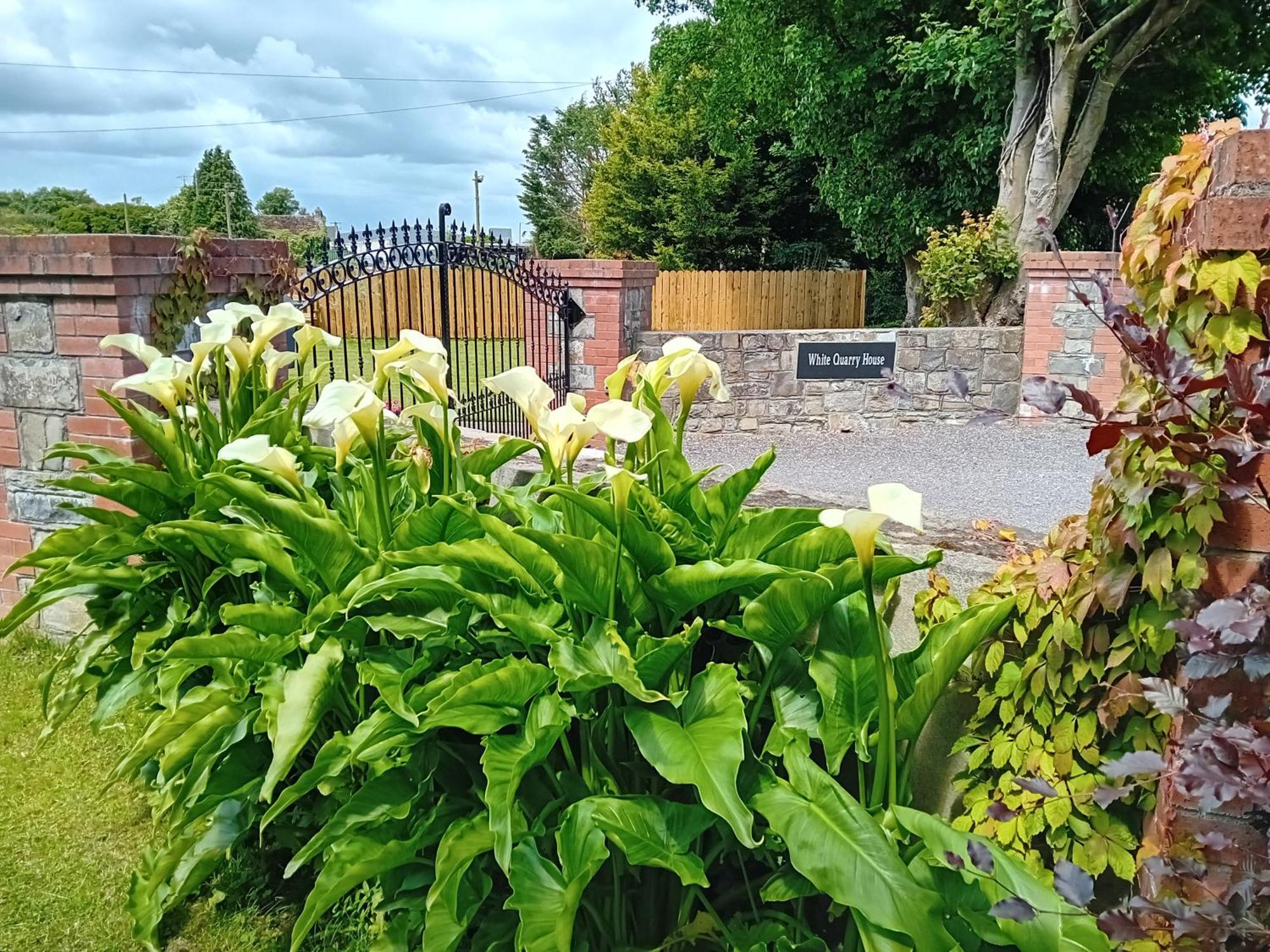 White Quarry House Apartment Navan Bagian luar foto