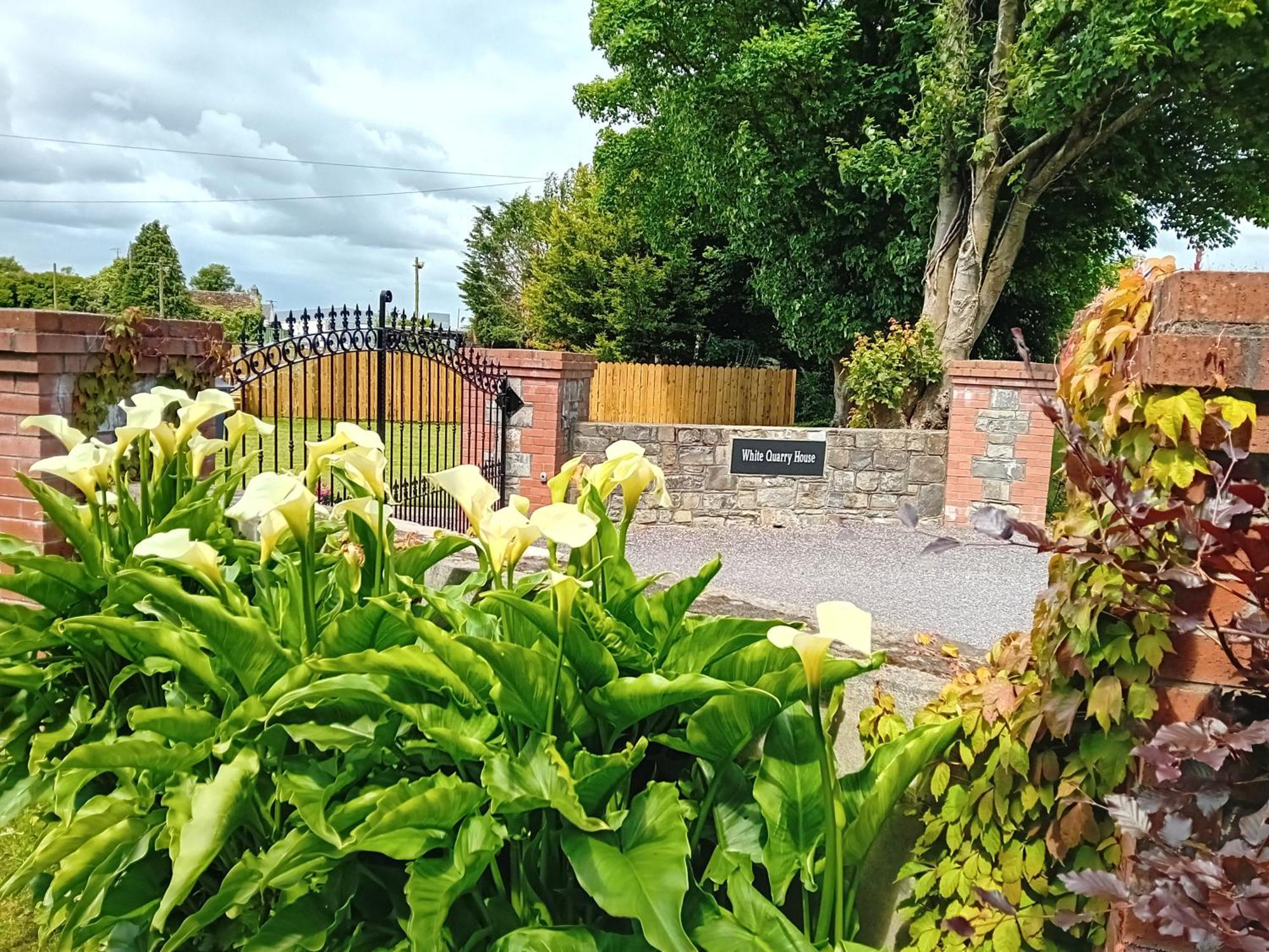 White Quarry House Apartment Navan Bagian luar foto